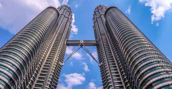 外国语单招大数据的行业文章