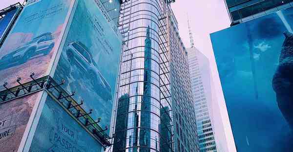 外国语单招大数据的行业文章