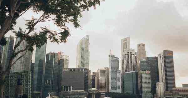 大数据监管的作用（监管大数据应用）