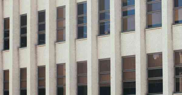 外国语单招大数据的行业文章