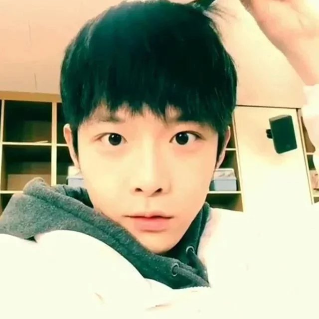 梅敬振寒