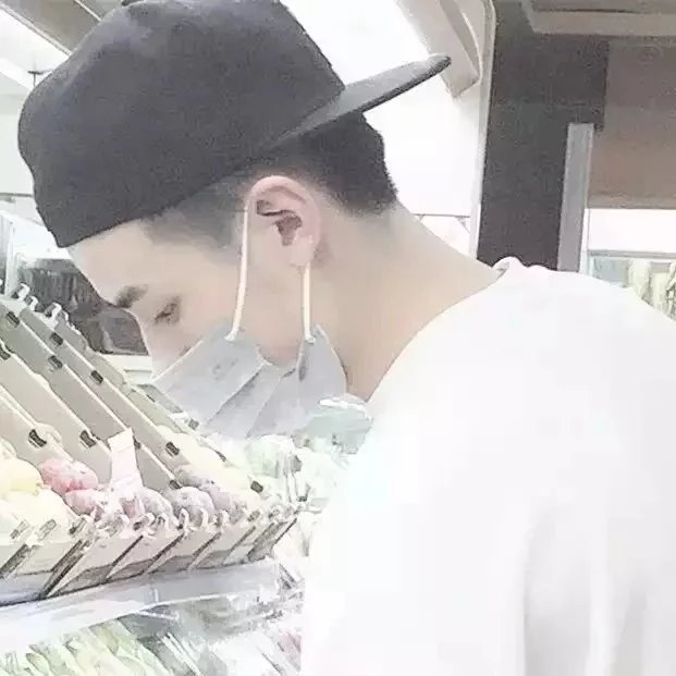 凤杰震斌