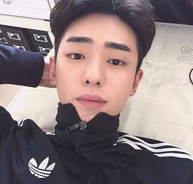 洪辉琼影