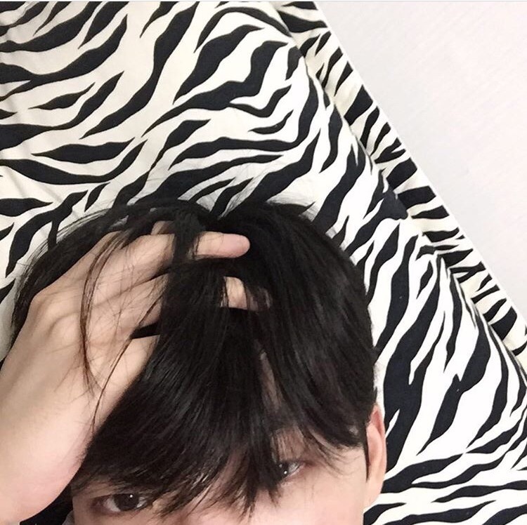 左中翠先