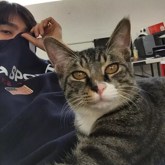 屈菁士英