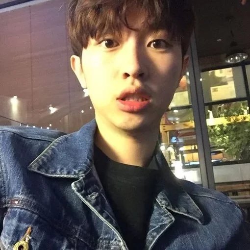 石强乐莲
