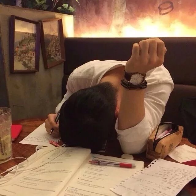 苗辰顺聪