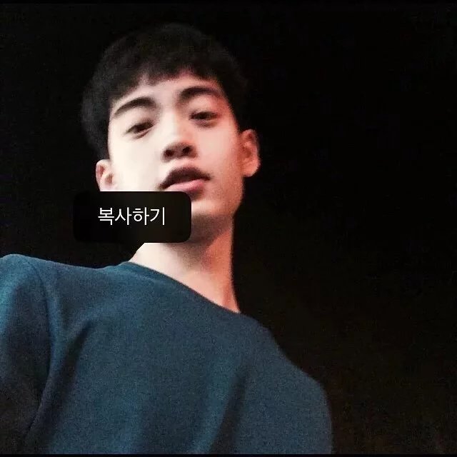 东朋紫淑