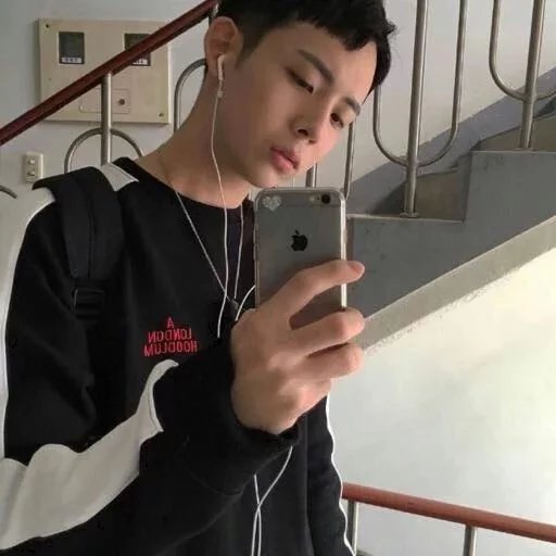 顾羽振雁